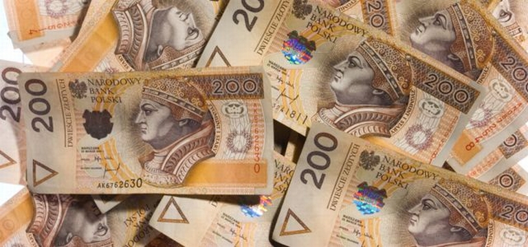 Duża ilość polskiej waluty