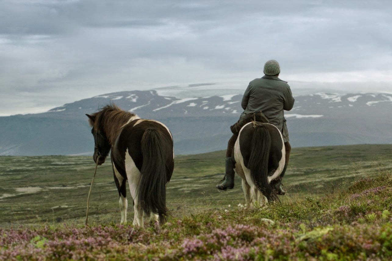 Tofifest 2015: „Kino islandzkie” – naturalistyczne, brutalne, wulgarne, bez tabu
