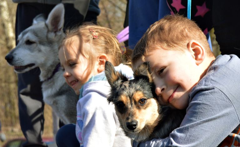 Piknik Przyjaciół Schroniska [FOTO]