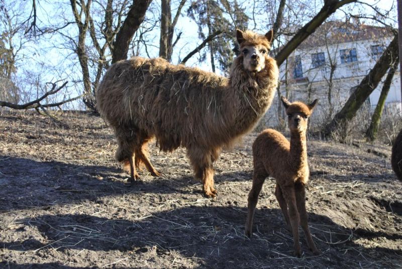 Ferie w Ogrodzie Zoobotanicznym