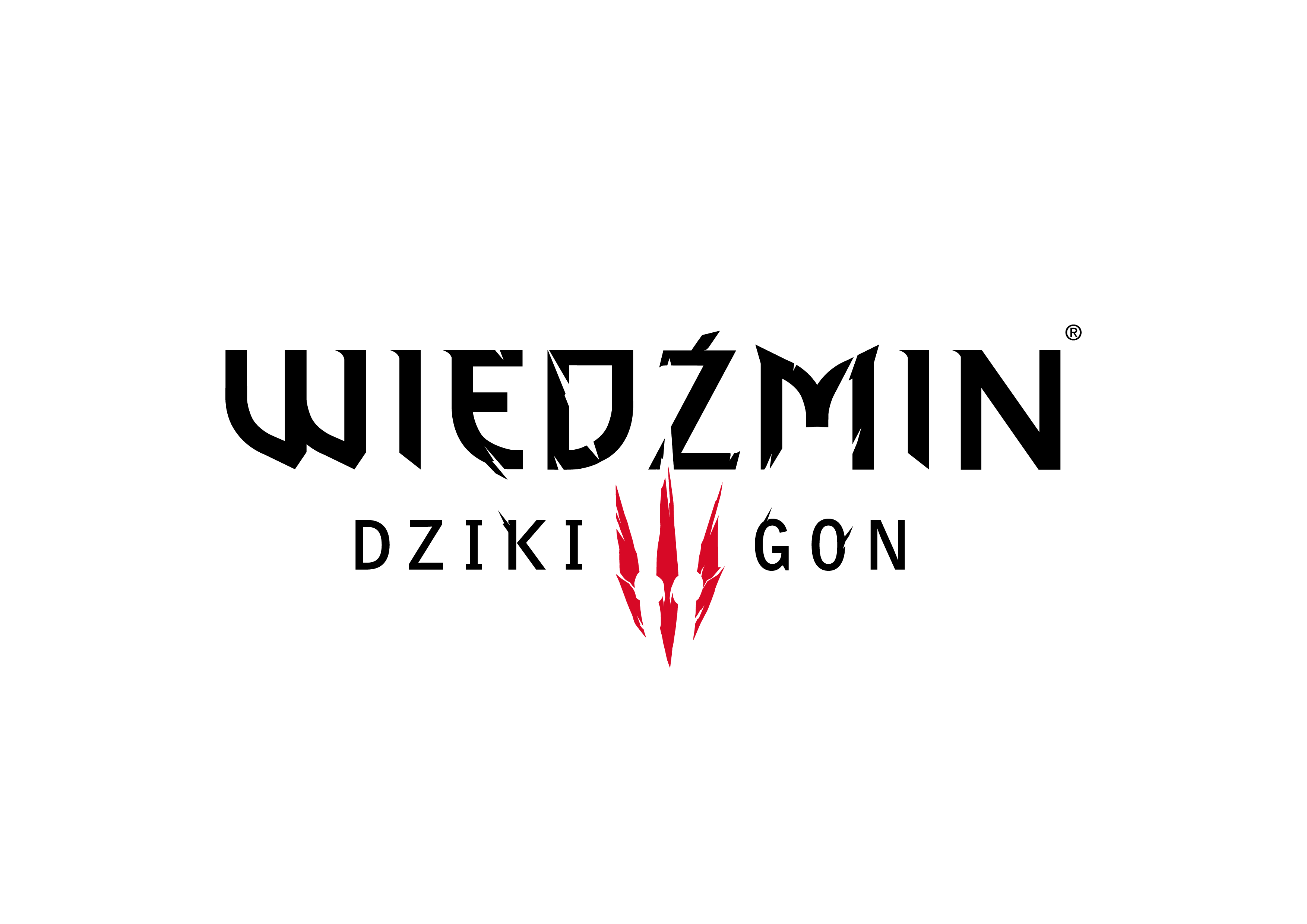 Wiedźmin w Toruniu