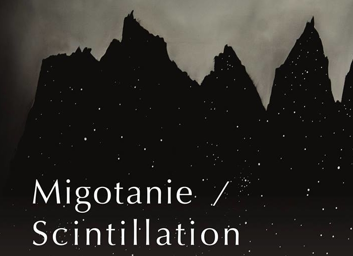 „Migotanie” w CSW