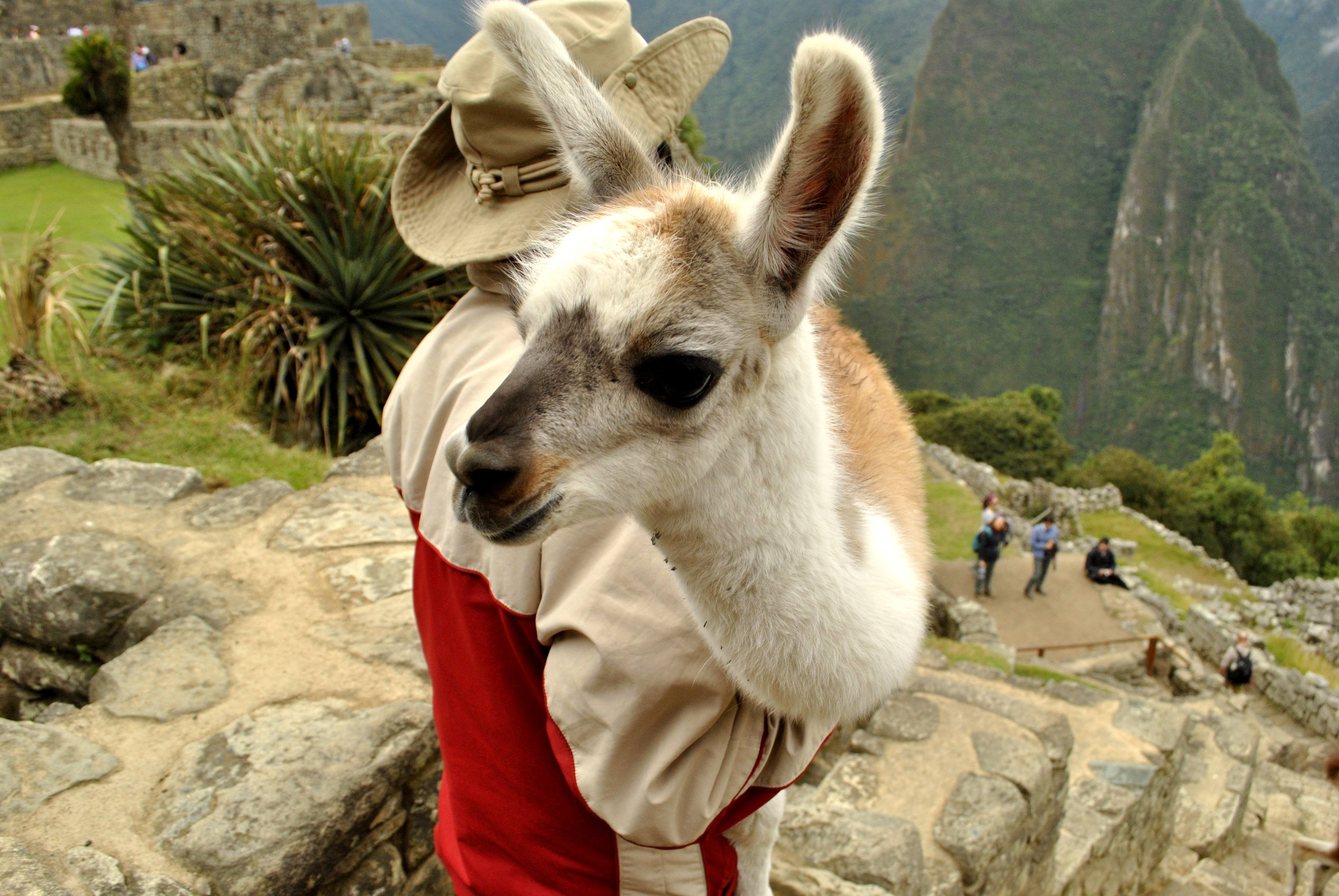 Podróż śladami Inków: Peru, Boliwia, Chile