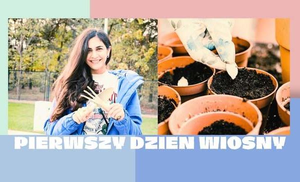 Zasiej własne warzywa w Ogrodzie KOI