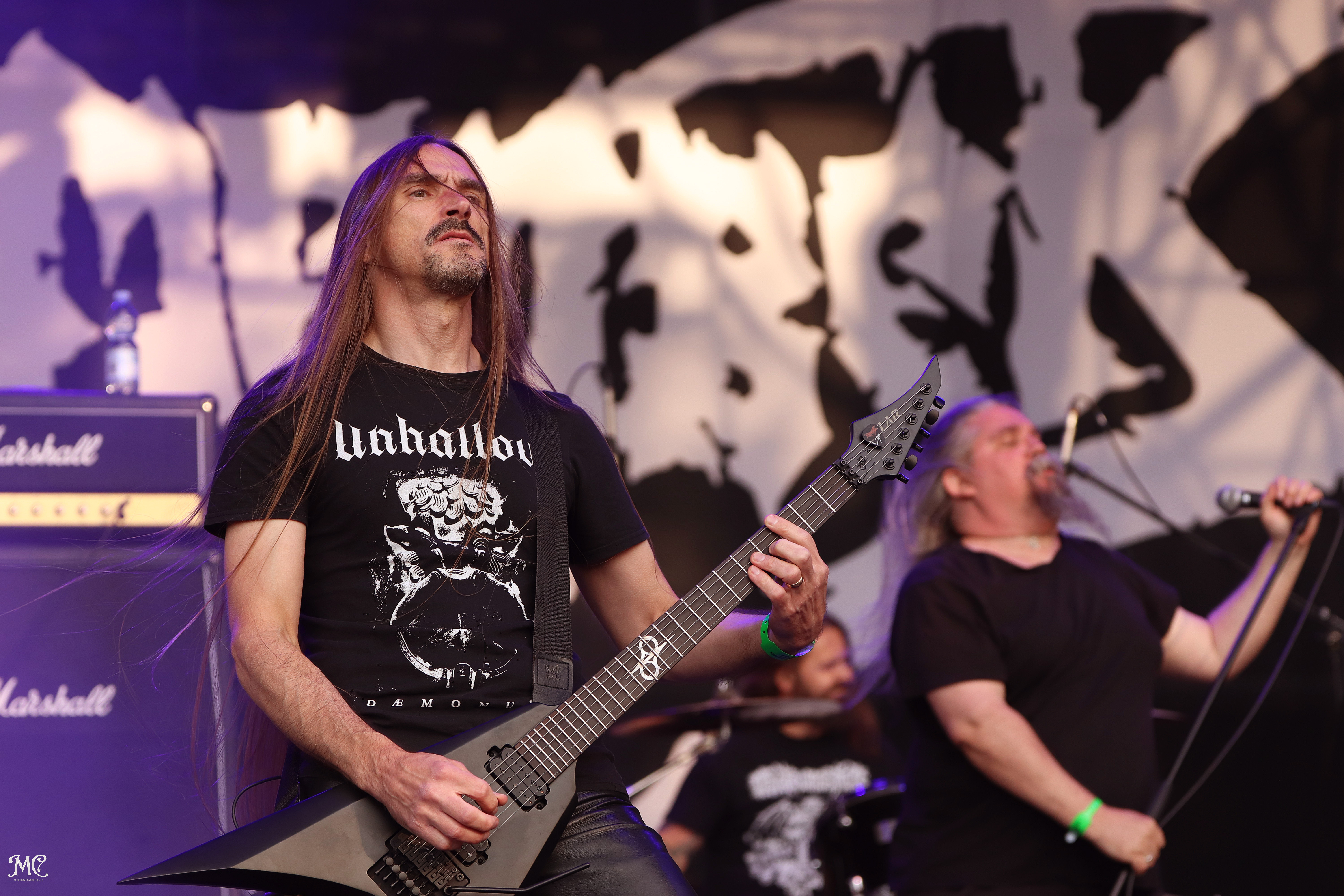 Dismember